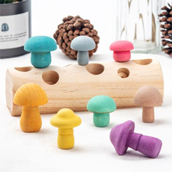 Jouets éducatifs en bois Montessori